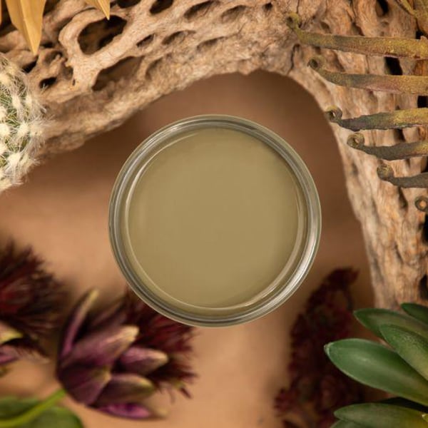 Cactus Silk All-In-One Mineral Paint®
