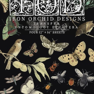 May include: Black background with vintage illustrations of butterflies, moths, beetles, and a frog. The text "Iron Orchid Designs" and "Entomology Etcetera" are displayed. The sheets are 12" x 16" in size.
