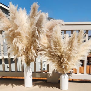 May include: Two white ceramic vases with dried pampas grass in them. The vases are on a wooden deck with a wooden railing in the background.