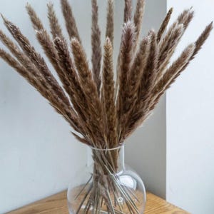 May include: A clear glass vase holds a bundle of dried, feathery brown pampas grass. The vase has a rounded shape and sits on a wooden surface. The pampas grass adds a natural, textured element to the decor.