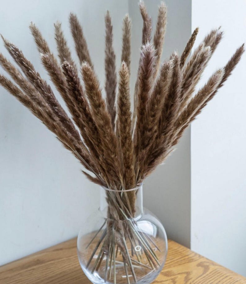 May include: A clear glass vase holds a bundle of dried, feathery brown pampas grass. The vase has a rounded shape and sits on a wooden surface. The pampas grass adds a natural, textured element to the decor.