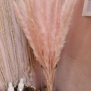 Pink Pampas Grass 24” — Dried Floral Bouquet, Wedding Decor, Baby Shower, Boho Home Decor image 5