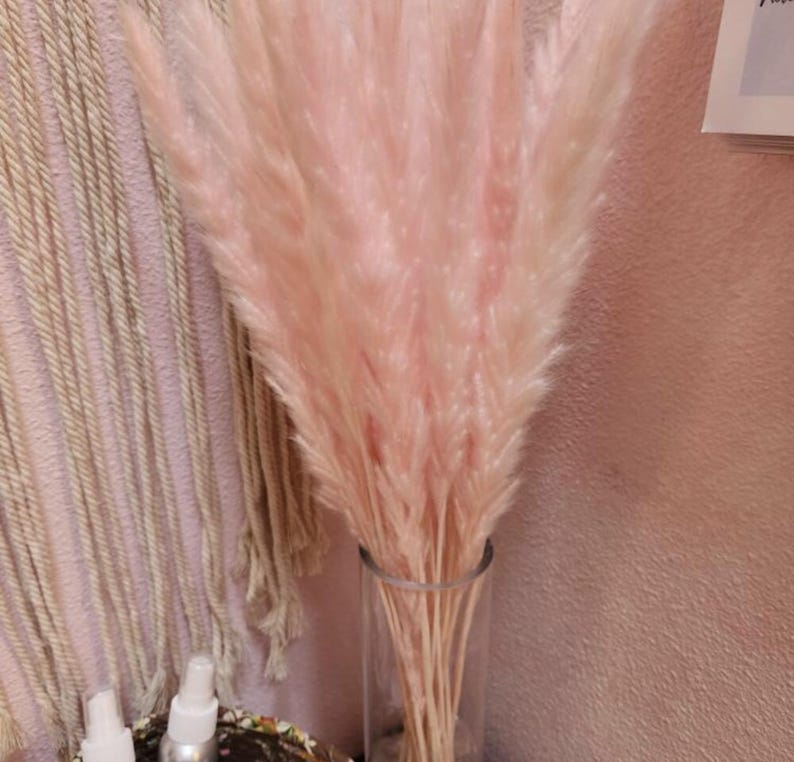 Pink Pampas Grass 24” — Dried Floral Bouquet, Wedding Decor, Baby Shower, Boho Home Decor image 5