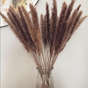 May include: A clear glass vase filled with dried pampas grass. The pampas grass plumes are a mix of light and dark brown, creating a natural, textured look. The vase has a ribbed design and sits against a white wall.