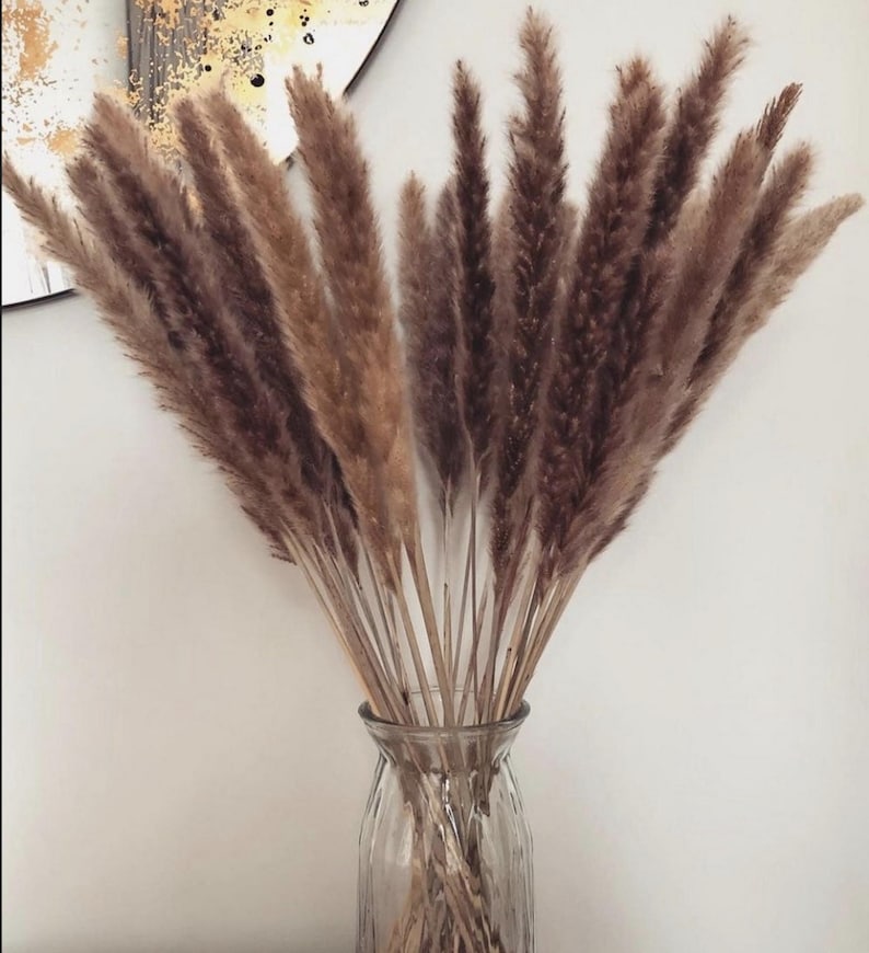 May include: A clear glass vase filled with dried pampas grass. The pampas grass plumes are a mix of light and dark brown, creating a natural, textured look. The vase has a ribbed design and sits against a white wall.
