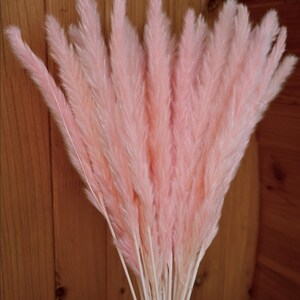 Pink Pampas Grass 24” — Dried Floral Bouquet, Wedding Decor, Baby Shower, Boho Home Decor image 4