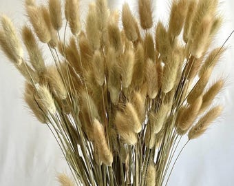 Dried Bunny Tail Flower Bouquet – Natural Lagurus Ovatus – Boho Farmhouse Vase Decor – Pampas Alternative