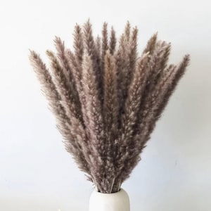 May include: A bouquet of dried pampas grass in a white vase. The feathery plumes are a muted brown color, creating a soft, textured appearance. The vase is a simple, rounded shape, providing a neutral base for the arrangement. This decorative arrangement is perfect for home decor.