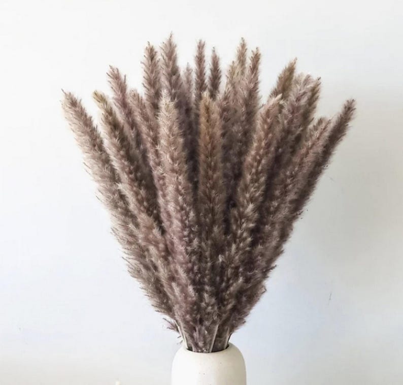 May include: A bouquet of dried pampas grass in a white vase. The feathery plumes are a muted brown color, creating a soft, textured appearance. The vase is a simple, rounded shape, providing a neutral base for the arrangement. This decorative arrangement is perfect for home decor.