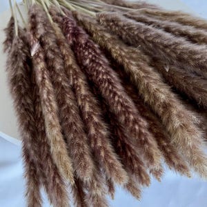 May include: Close-up of a bundle of dried pampas grass plumes. The plumes are a mix of brown and beige tones, with a feathery texture. The stems are a light brown color. The arrangement is suitable for home decor and floral arrangements.