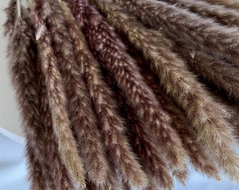 Brown Pampas Grass 24" – Boho Wedding Decor, Dried Floral Bouquet, Farmhouse Rustic Home Decor