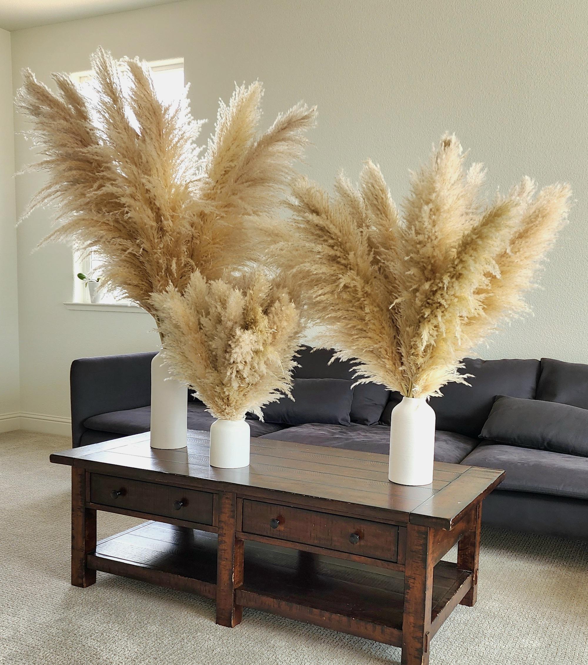 12pcs Wild USA-grown PAMPAS GRASS 2-4ft Dry Flowers For Home Decor Boho Style Wedding Floral Arranging Pampas Bouquet For Centerpieces