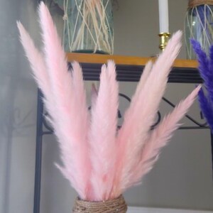 Pink Pampas Grass 24” — Dried Floral Bouquet, Wedding Decor, Baby Shower, Boho Home Decor image 3