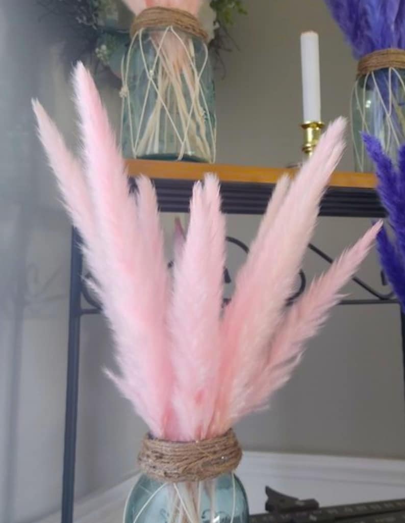 Pink Pampas Grass 24” — Dried Floral Bouquet, Wedding Decor, Baby Shower, Boho Home Decor image 3