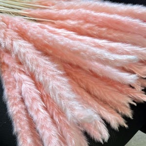 Pink Pampas Grass 24” — Dried Floral Bouquet, Wedding Decor, Baby Shower, Boho Home Decor image 6