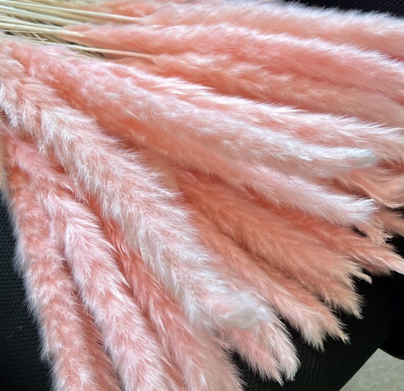 Pink Pampas Grass 24” — Dried Floral Bouquet, Wedding Decor, Baby Shower, Boho Home Decor image 6