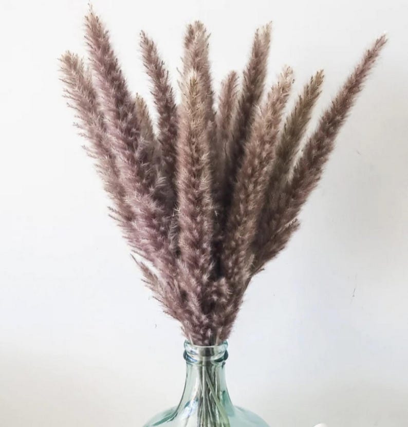 May include: A bouquet of dried pampas grass in a clear glass vase. The feathery plumes are a muted mauve color, with a soft, textured appearance. The vase has a wide base and a narrow neck. The background is a plain white.