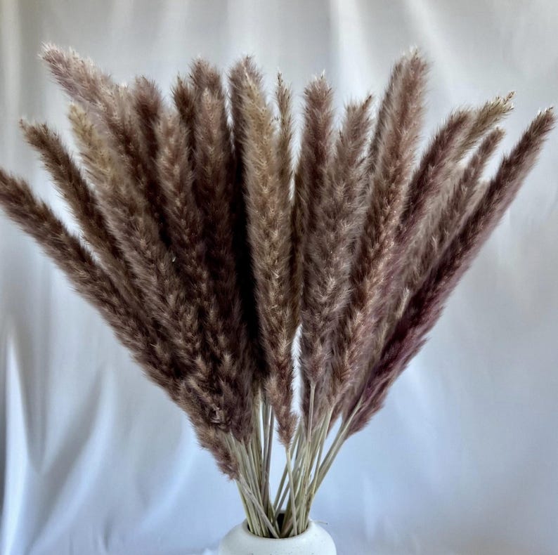 May include: A bouquet of dried pampas grass plumes in shades of brown and mauve. The feathery plumes are arranged in a vase with a white, textured finish. The stems are visible at the base, creating a natural, textured aesthetic.