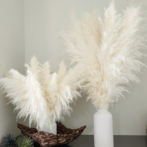 May include: Two white pampas grass plumes in white ceramic vases on a dark surface. The smaller vase is in a woven basket.
