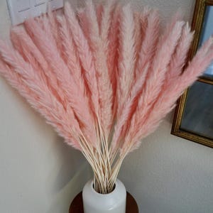 Pink Pampas Grass 24” — Dried Floral Bouquet, Wedding Decor, Baby Shower, Boho Home Decor image 2