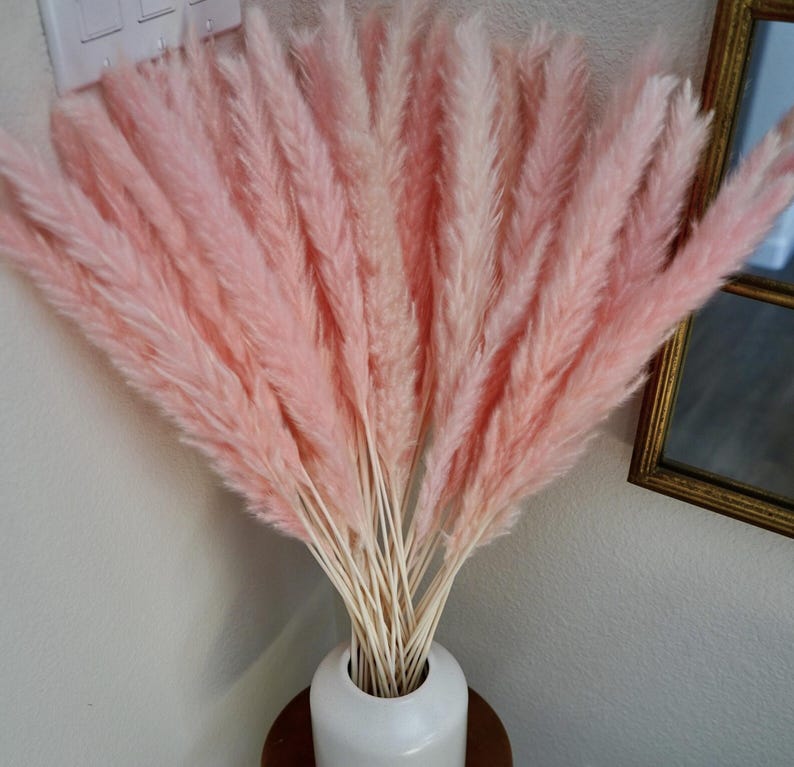 Pink Pampas Grass 24” — Dried Floral Bouquet, Wedding Decor, Baby Shower, Boho Home Decor image 2