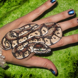 Awesome Royal Ball Python  Snake &quot;Python regius&quot; Serpent  Pet Iron on Patch
