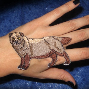 Awesome rare Bush Dog Speothos venaticus Iron on Patch