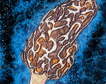 Geborduurde patch Morel-paddenstoel: appliqué opstrijken of naaien