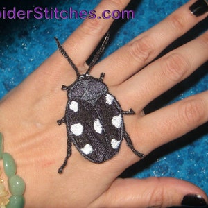 Life Sized Indian Domino Cockroach Roach Iron on Patch Therea petiveriana