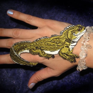 Könnte beinhalten: Ein gestickter Aufnäher eines grünen und gelben Leguan auf der Hand einer Person.