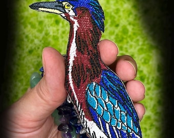 Texas Grüner Reiher Vogel Eisen auf Patch