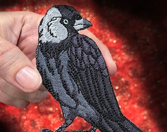 Western Jackdaw Raven Crow Bird  Iron on Patch Eurasian jackdaw birder