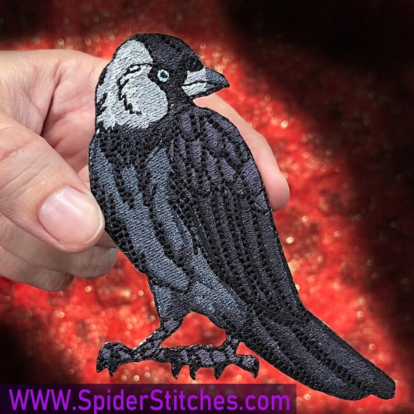 Western Jackdaw Raven Crow Bird  Iron on Patch Eurasian jackdaw birder