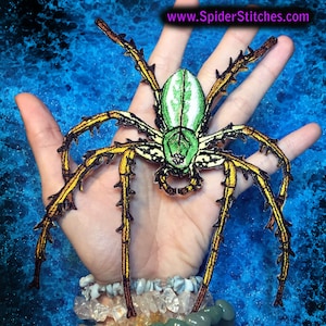 May include: Green and yellow embroidered spider patch with spiky legs. The patch is about the size of a person's hand.