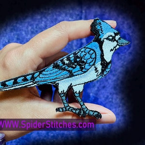 Può includere: Toppa ricamata a ferro da stiro con un passero azzurro con dettagli neri. La toppa è tenuta in una mano con un braccialetto di perline multicolori. Il sito web www.SpiderStitches.com è visibile nell'angolo in basso a destra.