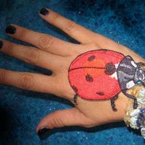 Cute 7 Spot Lady Bug  Beetle insect iron on Patch Coccinella septempunctata seven-spot ladybird