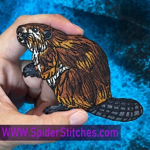 Busy American Beaver  iron on Patch Castor canadensis