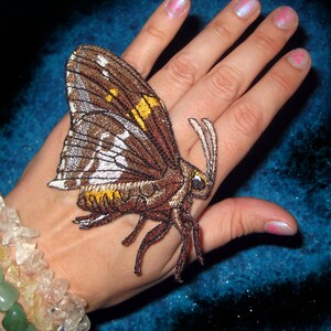 May include: A brown and white embroidered butterfly patch with yellow accents. The patch is on a person's hand.