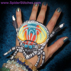 May include: A colorful embroidered patch of a jumping spider with a blue, yellow, orange, and red patterned abdomen. The spider has black legs and a white body.