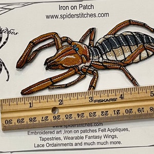 Solifugae Camel Spider Wind scorpions Sun spider Iron on Patch image 4