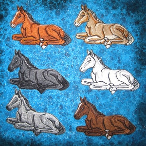 May include: Six embroidered horse patches in different colors, including brown, black, white, and gray. The patches are all in the same pose, lying down with their heads turned to the side.