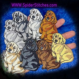 May include: Embroidered patches of various Labrador Retriever puppies in shades of white, gray, tan, brown, and black. The patches are arranged in a group, with the website address "www.SpiderStitches.com" in purple text at the top.
