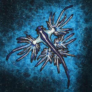 Blue Dragon Sea Slug Nudibranch Glaucus atlanticus Iron on patch image 1
