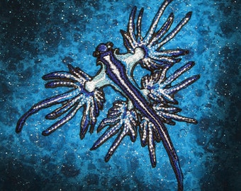 Blue Dragon Sea Slug  Nudibranch Glaucus atlanticus  Iron on patch