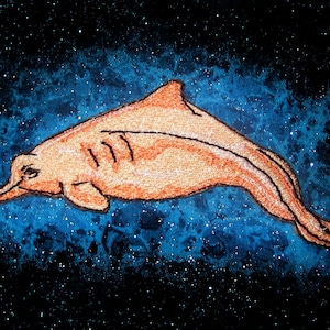 May include: A hand-drawn illustration of a pink river dolphin swimming in a blue and black starry sky.