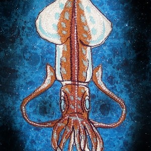 Może przedstawiać: Haftowany kałamarnica z brązowym i białym ciałem i niebieskimi oczami na tle niebieskiego i białego gwiaździstego nieba.