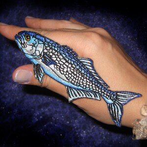 Op de afbeelding: Een geborduurde vispatch in blauw en zilver met een witte achtergrond. De patch zit op de hand van een persoon.