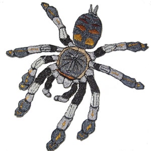 Venezuelan Suntiger Tarantula Psalmopoeus irminia Spider Steam Punk Iron on Patch image 1