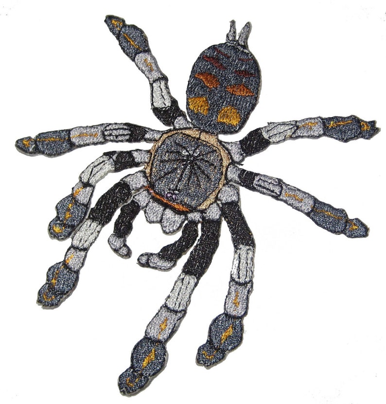 Venezuelan Suntiger Tarantula Psalmopoeus irminia Spider Steam Punk Iron on Patch image 1