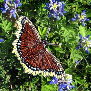 Mourning Cloak Camberwell Beauty Butterfly Nymphalis antiopa Iron on or Sew on Patch